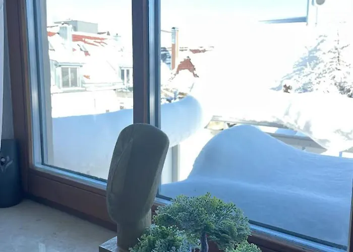 Nami - Robin - Helle Mitten In Der Stadt * メミンゲン