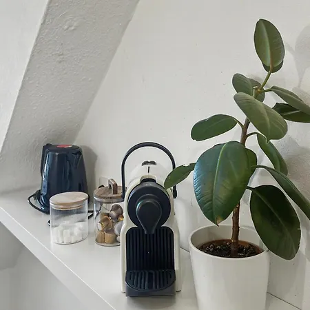 Nami - Robin - Helle Mitten In Der Stadt *
